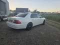 Lexus LS 430 - thumbnail 3