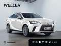 Lexus RX 350 h Luxury Line *Pano*360*HUD*Navi*LED*SHZ* Weiß - thumbnail 13
