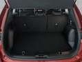 Ford Kuga 1.5 EcoBoost ST-LINE AHK+TECHNO-PAKET Rojo - thumbnail 6