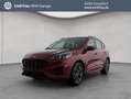 Ford Kuga 1.5 EcoBoost ST-LINE AHK+TECHNO-PAKET Rojo - thumbnail 1