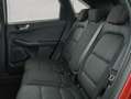 Ford Kuga 1.5 EcoBoost ST-LINE AHK+TECHNO-PAKET Rojo - thumbnail 19