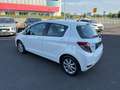 Toyota Yaris Yaris 1.0 5 porte Lounge Wit - thumbnail 3