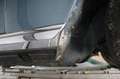 Mercedes-Benz 280 SE  W111 Werkscabrio Leder Automatik Klima 4 x el. Blau - thumbnail 13