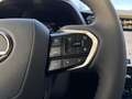 Lexus LBX FWD Hybrid + Komfort Paket MWSt ausweissbar Grau - thumbnail 20