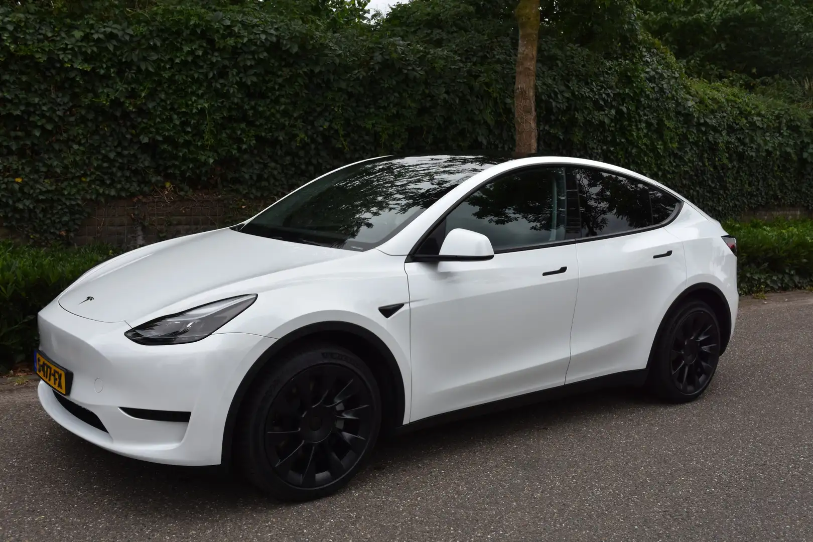 Tesla Model Y RWD 58 kWh | PANORAMADAK | 20"LMV | AUTOPILOT | 36 Wit - 2