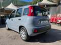 Fiat Panda Panda 1.0 FireFly S&S Hybrid Gris - thumbnail 4