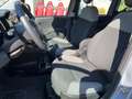 Fiat Panda Panda 1.0 FireFly S&S Hybrid Gris - thumbnail 10