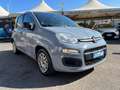 Fiat Panda Panda 1.0 FireFly S&S Hybrid Gris - thumbnail 1