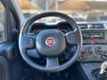 Fiat Panda Panda 1.0 FireFly S&S Hybrid Gris - thumbnail 8