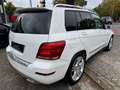 Mercedes-Benz GLK 220 CDI 4Matic*LEDER*KAMERA*2.HAND*COMAND Weiß - thumbnail 8