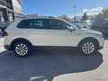 Volkswagen Tiguan 2.0 TDI 150CV SCR DSG Life Bianco - thumbnail 4