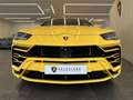 Lamborghini Urus V8 Bi Turbo DSG Galben - thumbnail 6