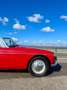 MG MGB OVERDRIVE Rot - thumbnail 9