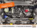 Ford Puma 1.0 ecoboost h titanium s&s 125cv Blu/Azzurro - thumbnail 12