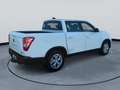 SsangYong Musso 4x4 Doppelka. Neuer Original-Motor bei 33T Weiß - thumbnail 5