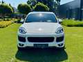Porsche Cayenne II S Platinum Edition 4,2 Diesel |*1.BESITZ*PICKE Weiß - thumbnail 6