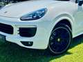 Porsche Cayenne II S Platinum Edition 4,2 Diesel |*1.BESITZ*PICKE Weiß - thumbnail 4