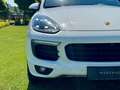 Porsche Cayenne II S Platinum Edition 4,2 Diesel |*1.BESITZ*PICKE Weiß - thumbnail 13