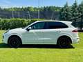 Porsche Cayenne II S Platinum Edition 4,2 Diesel |*1.BESITZ*PICKE Weiß - thumbnail 7