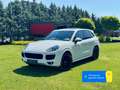 Porsche Cayenne II S Platinum Edition 4,2 Diesel |*1.BESITZ*PICKE Weiß - thumbnail 1