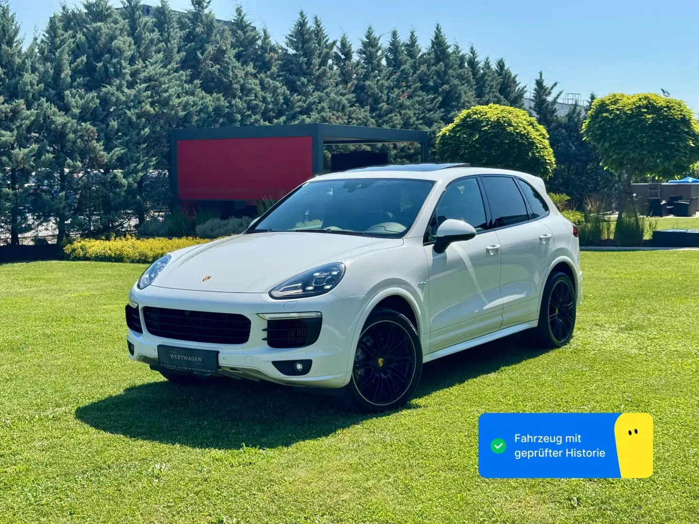 Porsche Cayenne II S Platinum Edition 4,2 Diesel |*1.BESITZ*PICKE Weiß - 1