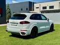 Porsche Cayenne II S Platinum Edition 4,2 Diesel |*1.BESITZ*PICKE Weiß - thumbnail 10