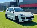 Porsche Cayenne II S Platinum Edition 4,2 Diesel |*1.BESITZ*PICKE Weiß - thumbnail 12