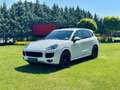 Porsche Cayenne II S Platinum Edition 4,2 Diesel |*1.BESITZ*PICKE Weiß - thumbnail 3