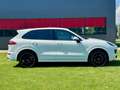 Porsche Cayenne II S Platinum Edition 4,2 Diesel |*1.BESITZ*PICKE Weiß - thumbnail 11