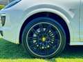 Porsche Cayenne II S Platinum Edition 4,2 Diesel |*1.BESITZ*PICKE Weiß - thumbnail 14