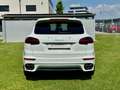 Porsche Cayenne II S Platinum Edition 4,2 Diesel |*1.BESITZ*PICKE Weiß - thumbnail 9