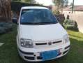 Fiat Panda Panda MY 1.3 Multijet 16V 75 ch DPF Dynamic Entreprise Blanc - thumbnail 2