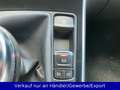 Renault Scenic 1.2 TCE BOSE Edition Weiß - thumbnail 15
