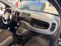 Fiat Panda Hybrid 1.0 FireFly 70 cv - PROMO Nero - thumbnail 11