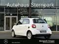 smart forFour forfour prime Faltdach/Sitzheizung/PDC/Ambiente BC Weiß - thumbnail 2