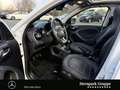 smart forFour forfour prime Faltdach/Sitzheizung/PDC/Ambiente BC Weiß - thumbnail 4