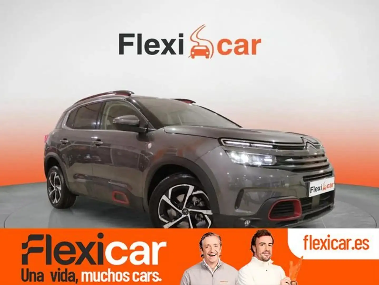 Citroen C5 Aircross BlueHDi S&S C-Series EAT8 130 Gris - 1
