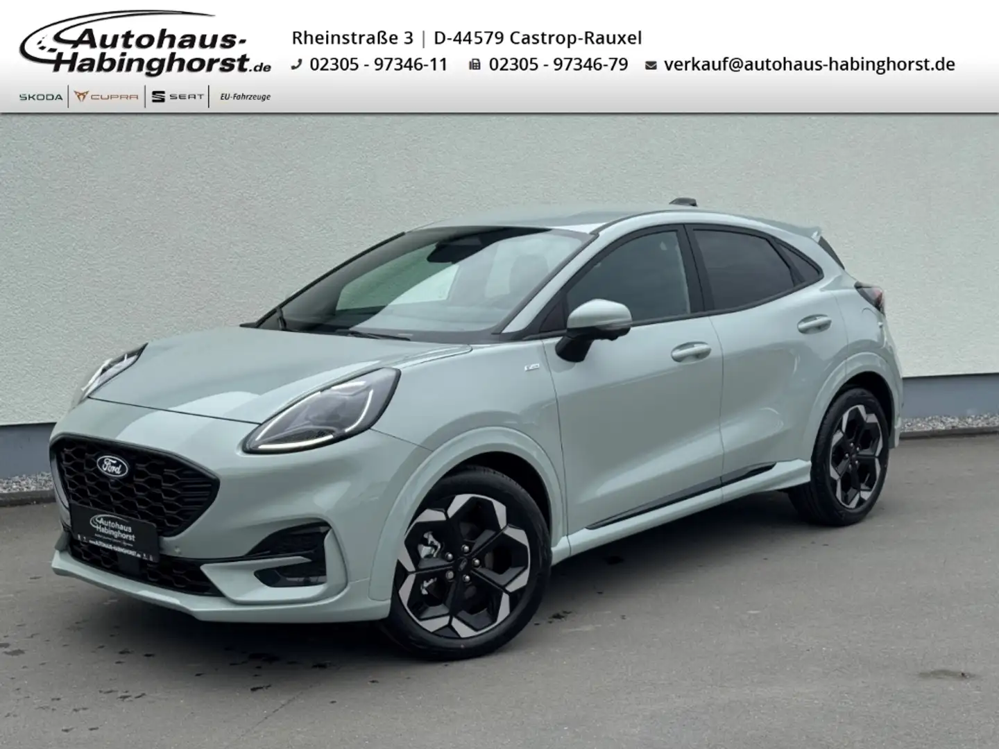Ford Puma 1.0 EB ST-Line X Leder ACC Nav 360 eHK LED Grau - 1