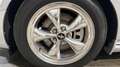 Ford Mustang Premium Gris - thumbnail 21