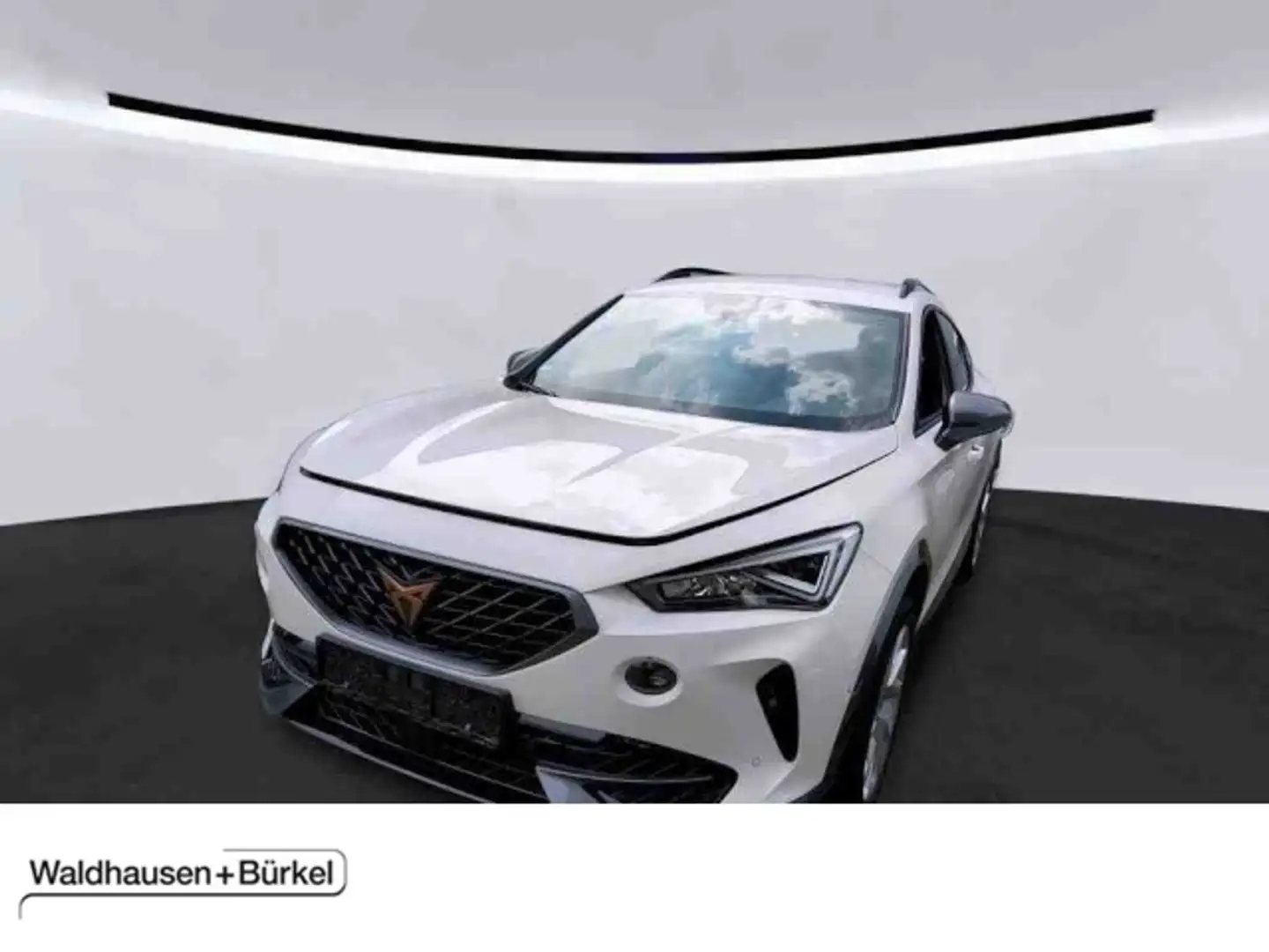 CUPRA Formentor 1.5 TSI DSG Kamera Klima Rückfahrkamera Weiß - 1