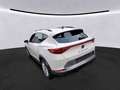 CUPRA Formentor 1.5 TSI DSG Kamera Klima Rückfahrkamera Weiß - thumbnail 4