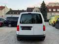 Volkswagen Caddy Caddy Kastenwagen Entry 2,0 TDI Facelift MwSt. ... Weiß - thumbnail 10