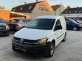 Volkswagen Caddy Caddy Kastenwagen Entry 2,0 TDI Facelift MwSt. ... Weiß - thumbnail 6