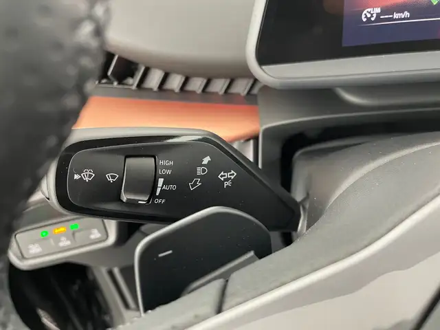 Cupra Tavascan view 15
