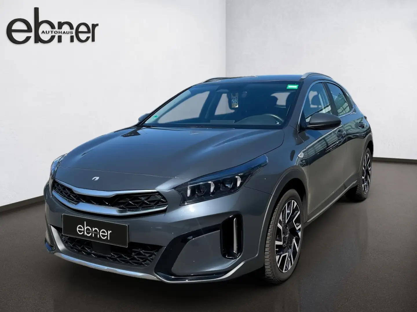 Kia XCeed Xceed 1.5 T-GDI Vision | Navigation | Rückfahrka Grau - 2