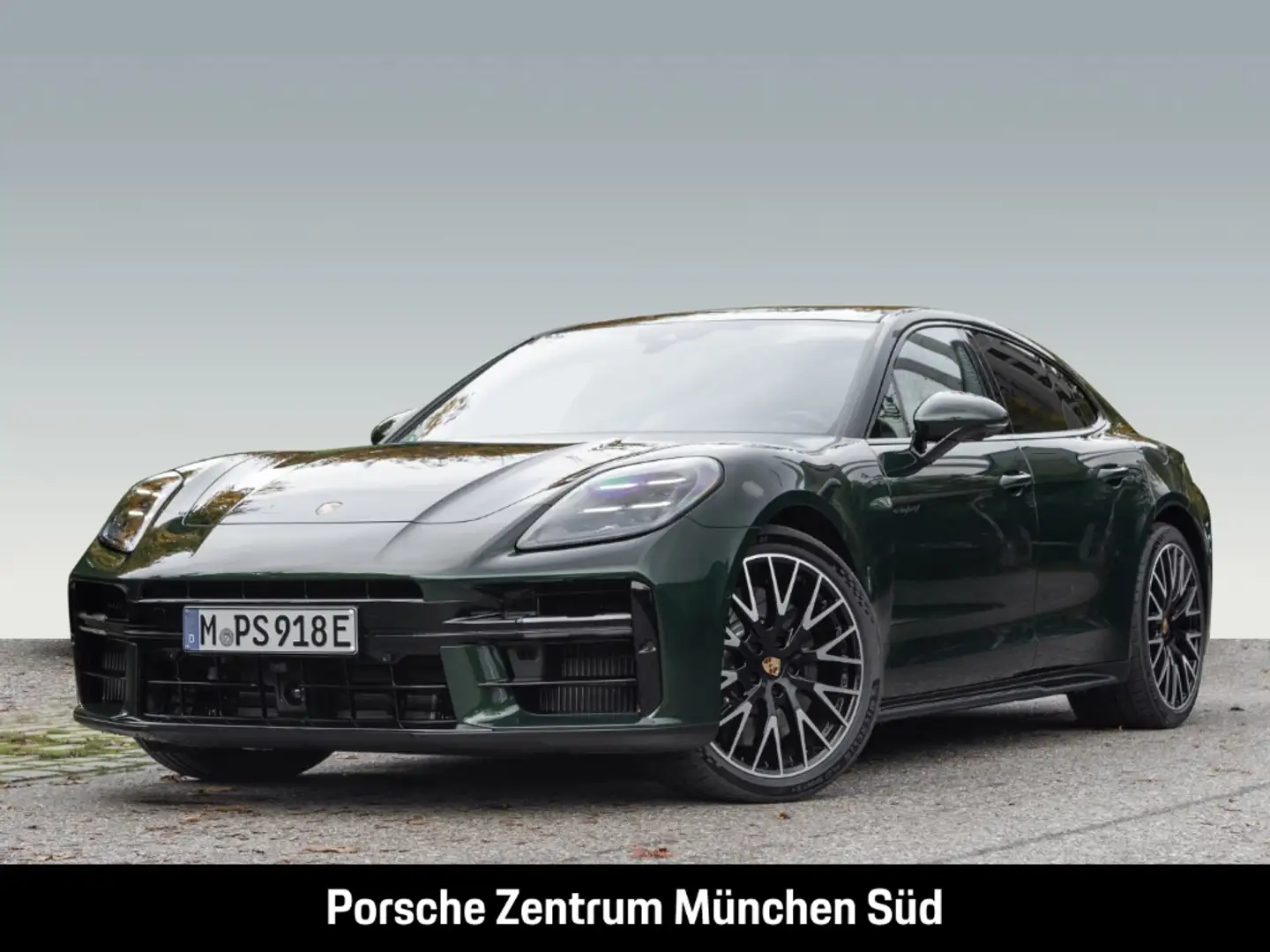 Porsche Panamera 4S E-Hybrid Sportabgas Surround-View Groen - 1