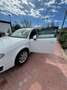 SEAT Exeo 2.0 TDI 120 ch Réference Wit - thumbnail 14