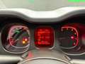 Fiat Panda Panda III 1.0 firefly hybrid PREZZO REALE Bianco - thumbnail 12