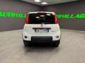Fiat Panda Panda III 1.0 firefly hybrid PREZZO REALE Bianco - thumbnail 5