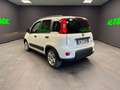 Fiat Panda Panda III 1.0 firefly hybrid PREZZO REALE Bianco - thumbnail 6